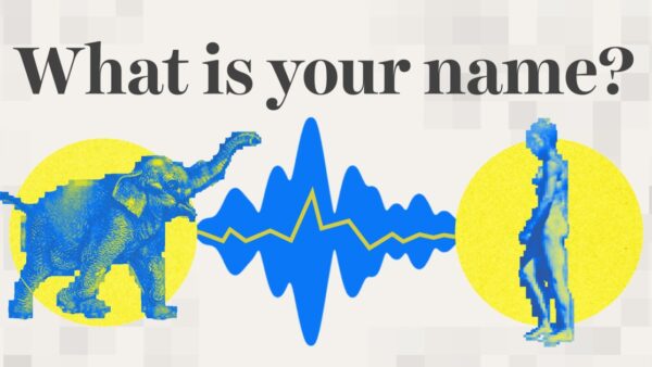 Trí tuệ nhân tạo có thể giúp chúng ta nói chuyện với động vật không?