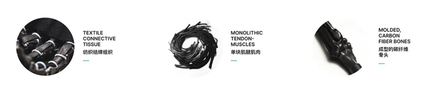 Sau bảy năm nghiên cứu giải phẫu cơ thể, công ty Ba Lan thành công chế tạo cánh tay robot sở hữu cơ bắp như con người, có thể nắm được 7 kg chỉ bằng một ngón tay - Ảnh 5.