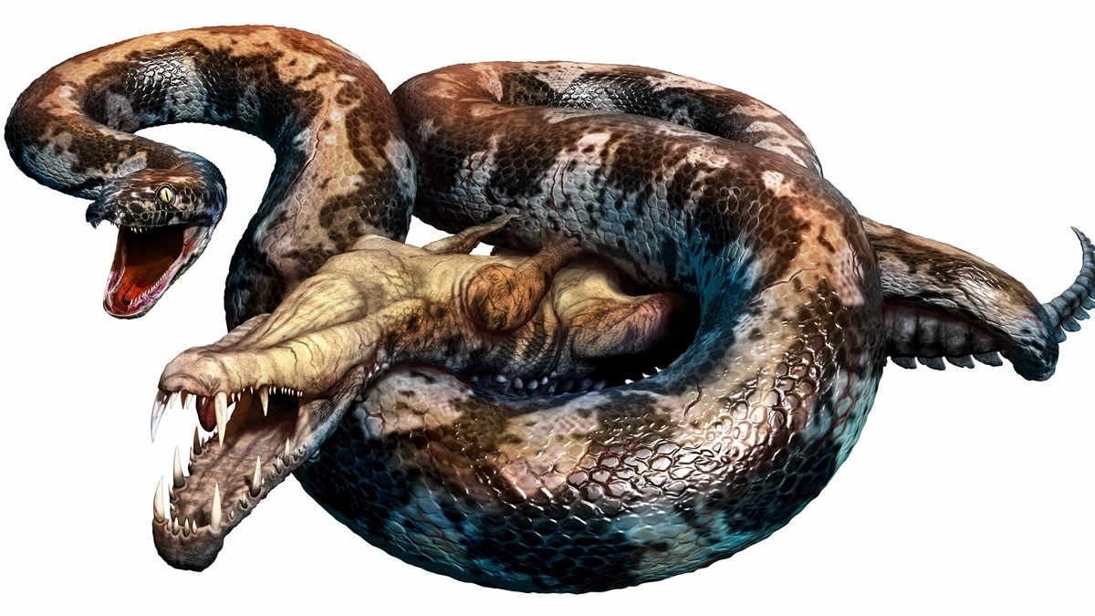 indian-fossils-point-to-a-giant-1778128427244-1778128428071812814130-1