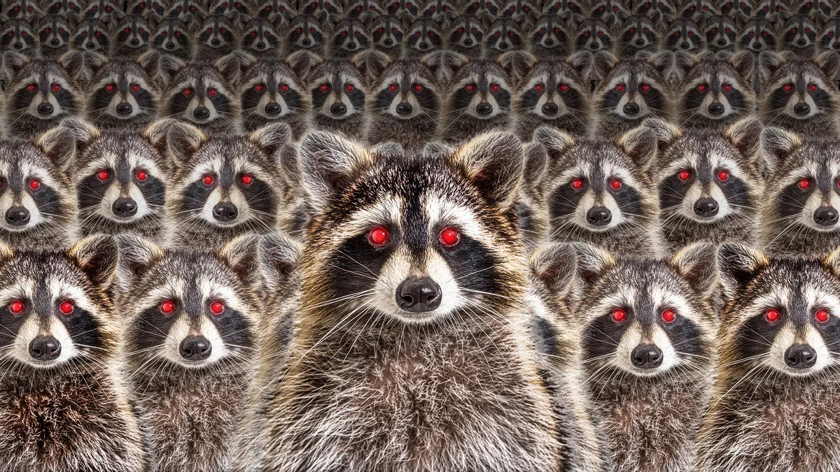 they-re-here-l-1778217389783-1778217390055822080055-1