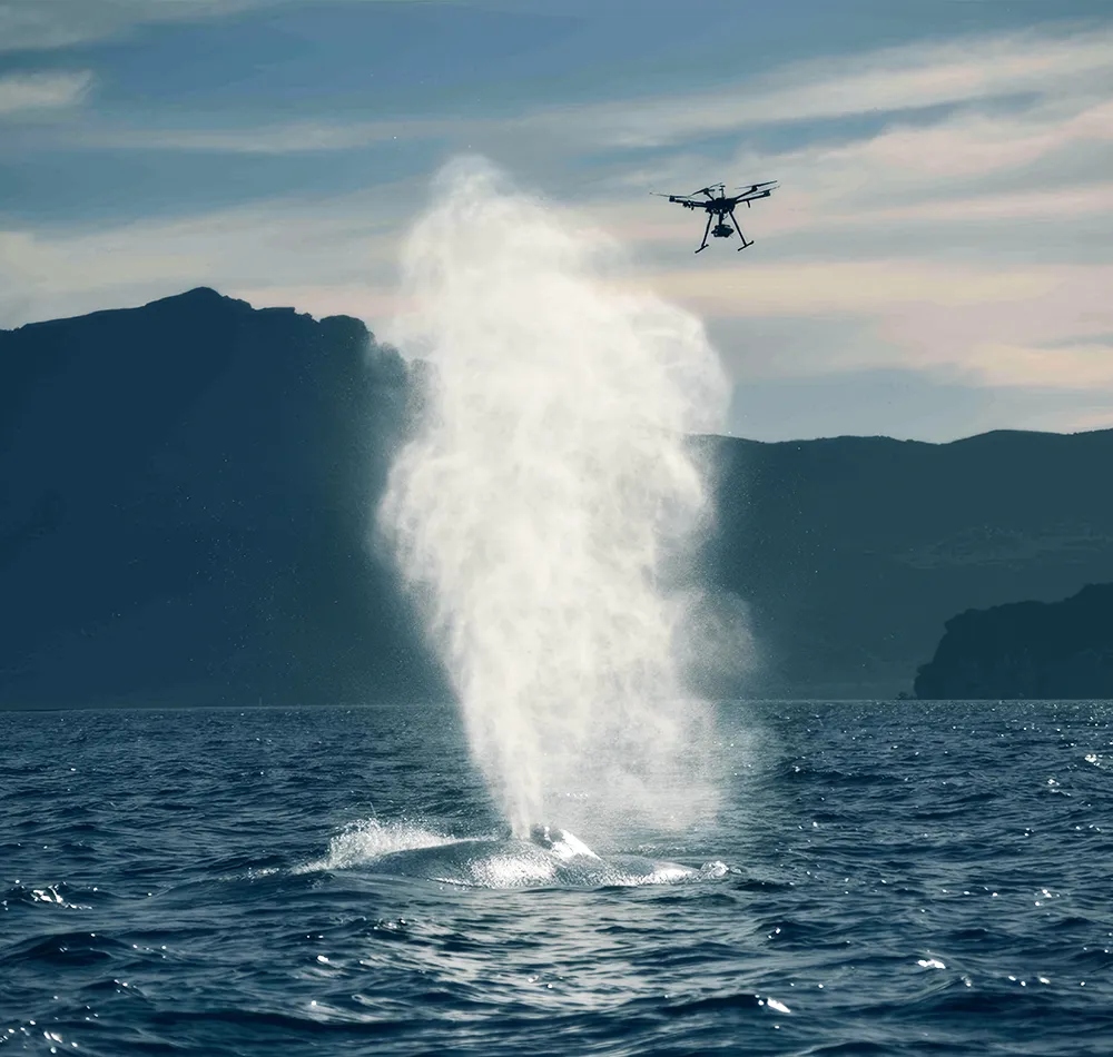 v2-56da9c9eff65e99eed95e761222a8-1778042149622-17780421500951422335851-1