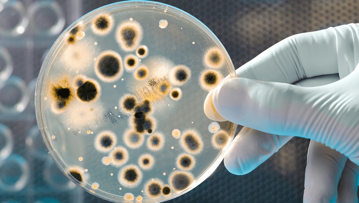 1615221620-bacteria-growth-o-met-1780286720224-17802867203971560929269-1
