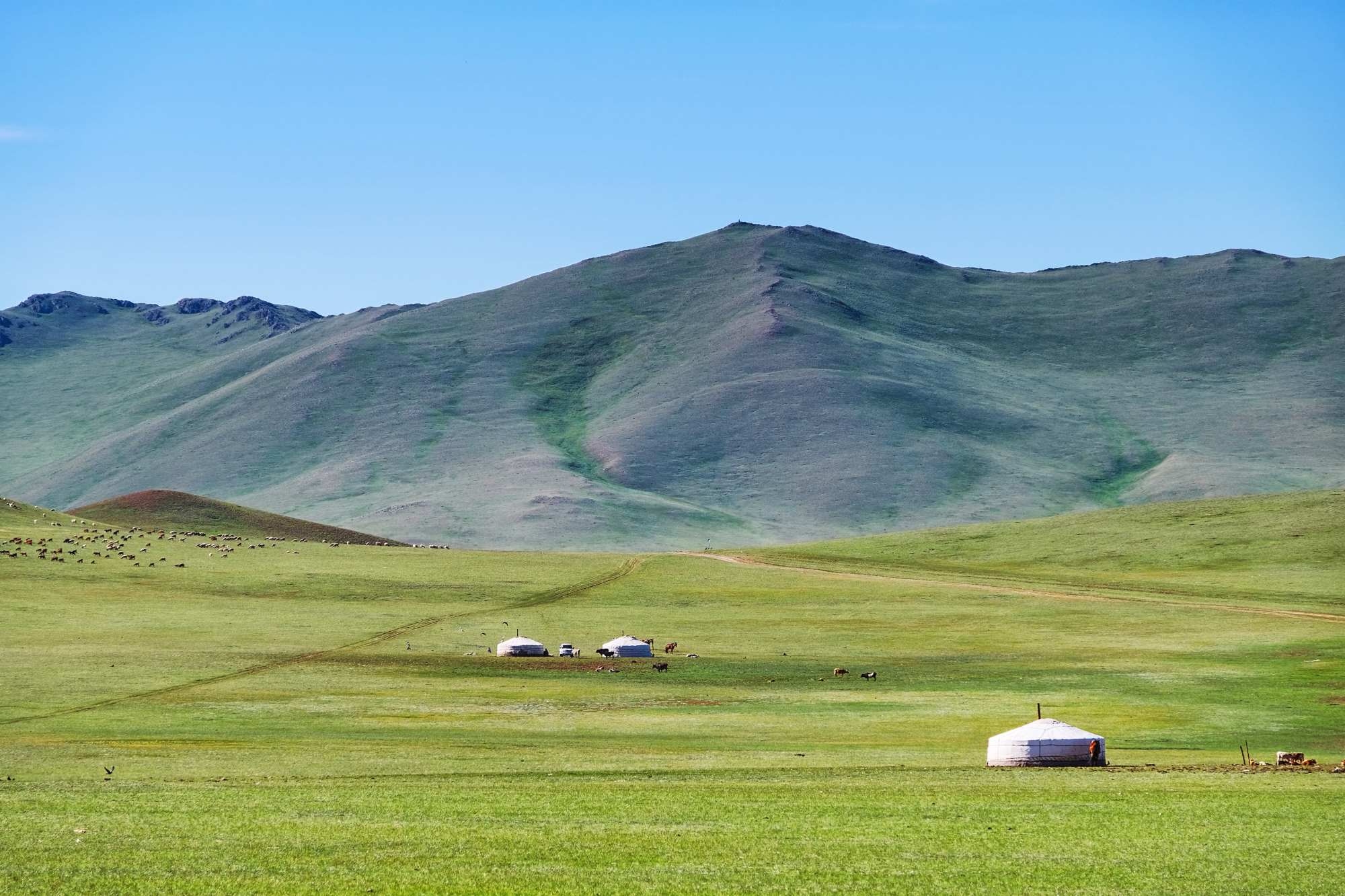 mongolia-estepas-1-1782449584318-1782449584696453895611