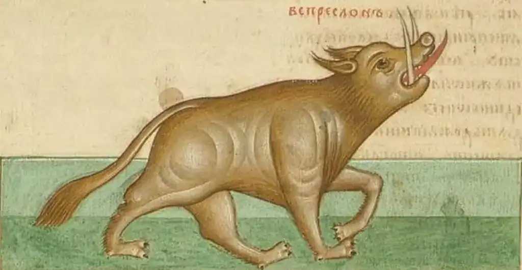 cosmas-indicopleustess-medieval-1784520885480-1784520885815124615800