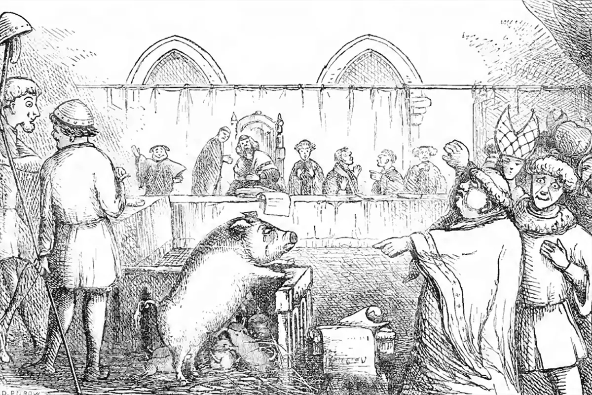 homicidalhogspigsontrial-1784520883098-1784520883498610800446