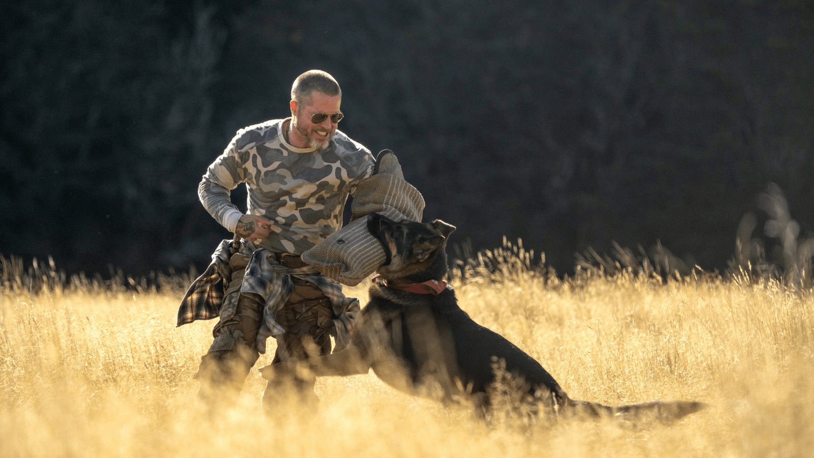 heart-of-the-beast-movie-still-1790658378784-1790658379009589118233